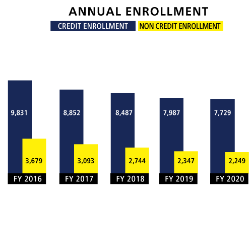 graph annual enrollment credit or noncredit