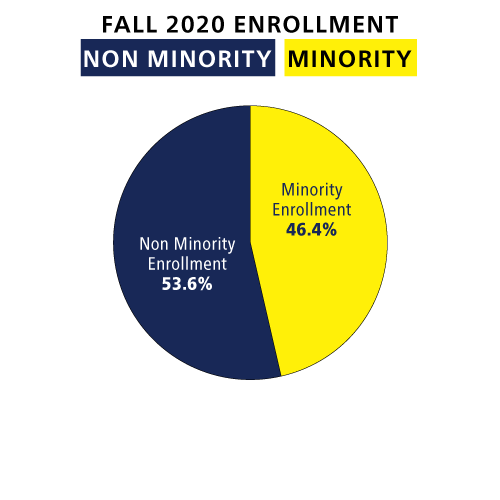 graph minority and nonminority enrollment