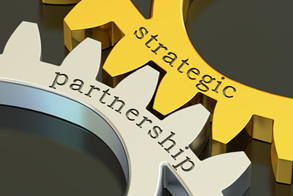 Strategic Partnerships