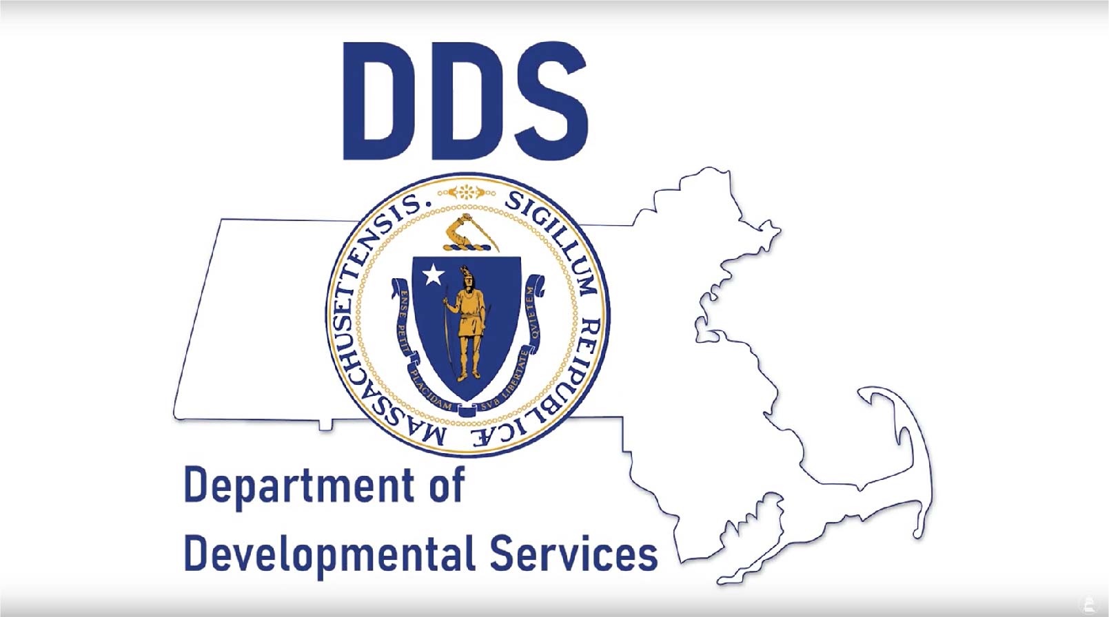 DDS Logo