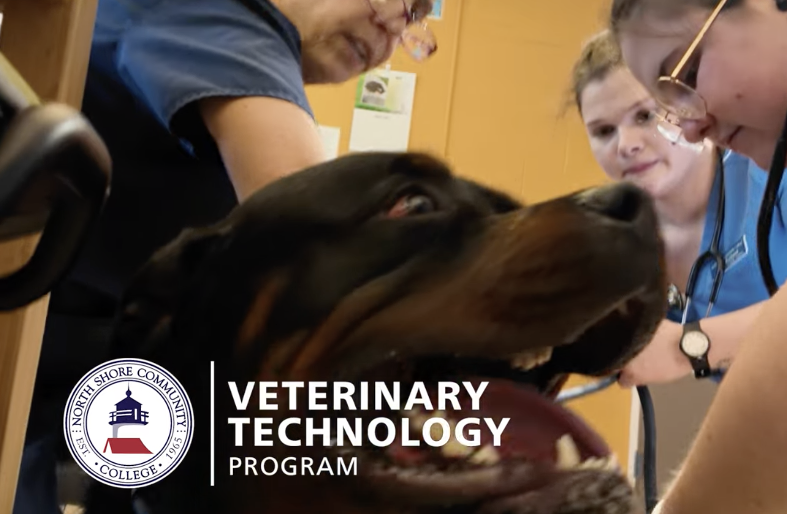 Veterinary Technology Video Thumbnail