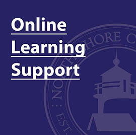 Online Learning Support