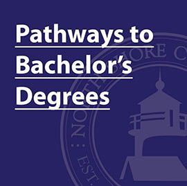 Pathways to Bachelor's Degrees