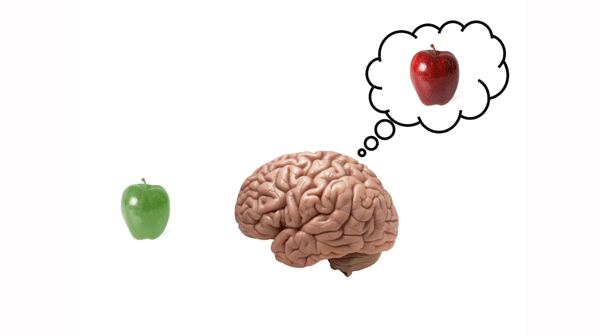brain seeing a green apple but thinking red apple