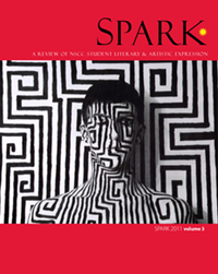2011 Spark Vol 3