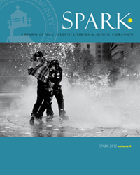 2012 Spark Vol 4