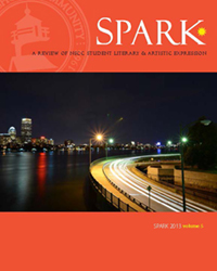 2013 Spark Vol 5