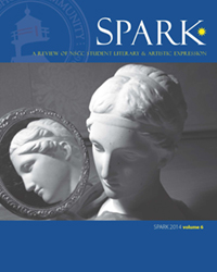 2014 Spark Vol 6