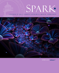 2015 Spark Vol 7