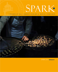 2016 Spark Vol 8