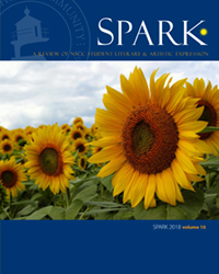 2018 Spark Vol 10