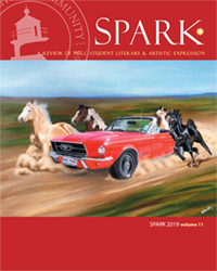 Spark 2019 Vol 11
