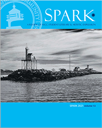 Spark 2021 cover