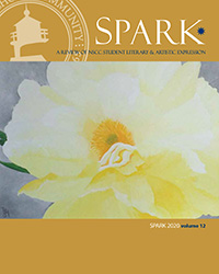 Spark 2020