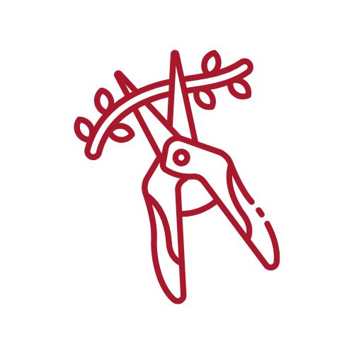 Floral Advanced Icon