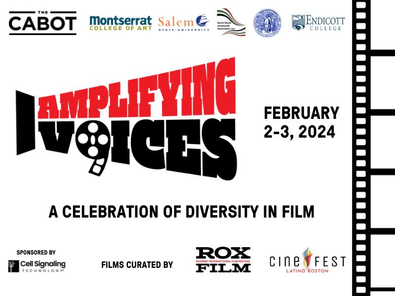 amplyfying voices flyer