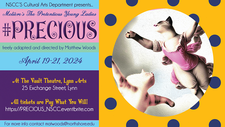 flyer for the play precious