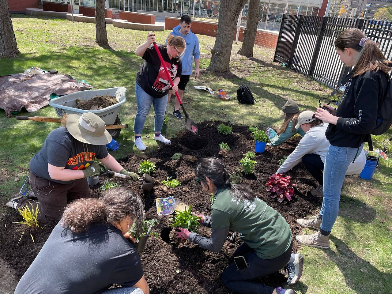 pollinator garden